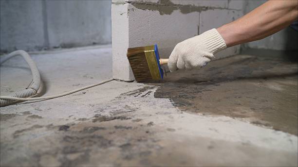 SJ Waterproofing Pros Basement Waterproofing coverage map for Hinckley, IL and surrounding area
